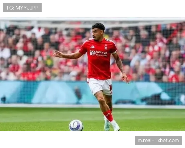 诺丁汉森林依赖吉布斯怀特,中场核心7球成队内射手王